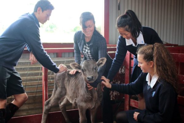 Agricultural Science teacher Ms Kerryann Daffin with some of her Year 11 students.