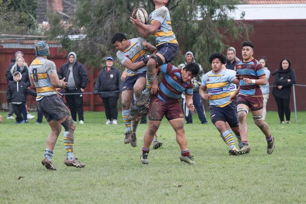 017---Rugby-1-XV-v-De-la-Salle----19