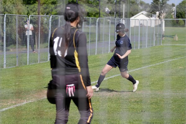 017-Softball-Jnr-Girls-v-Massey-High-School---06