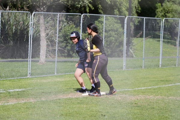 017-Softball-Jnr-Girls-v-Massey-High-School---11