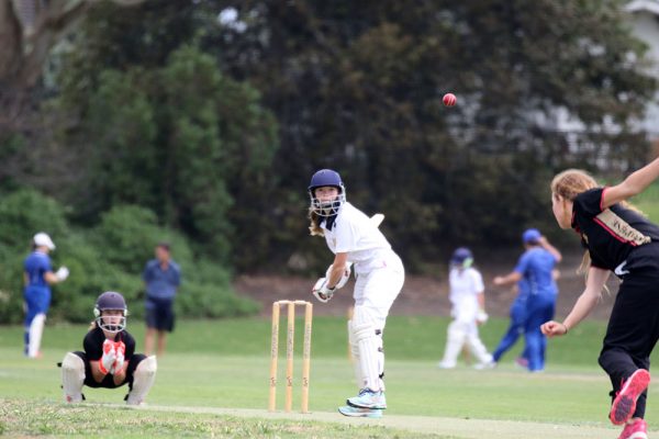 018-Cricket-Girls-T20-v-Baradene-College---023