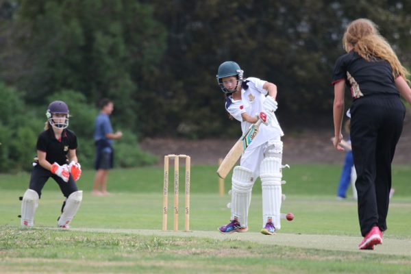 018-Cricket-Girls-T20-v-Baradene-College---028