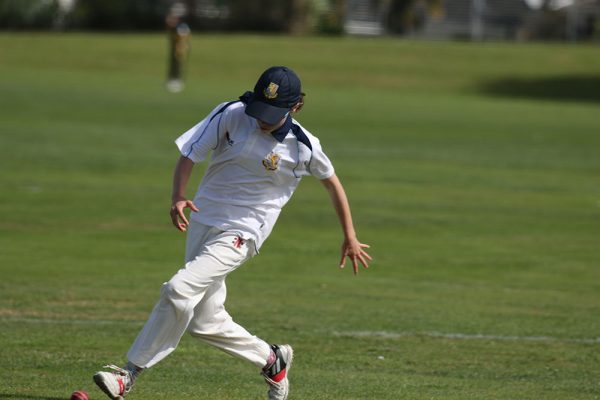 018-Cricket-Girls-T20-v-Baradene-College---042