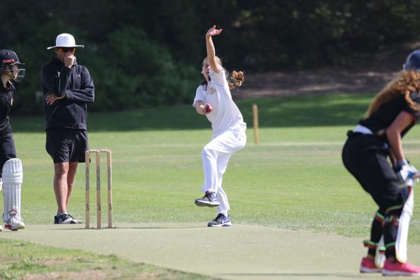 018-Cricket-Girls-T20-v-Baradene-College---045