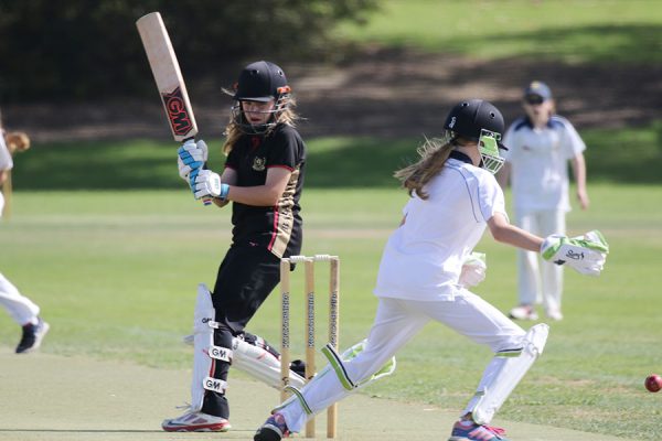 018-Cricket-Girls-T20-v-Baradene-College---047