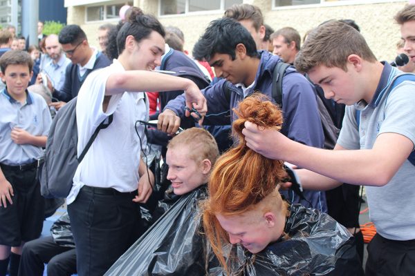 Shave for a Cure16