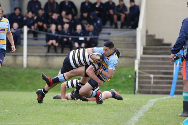 018-Rugby-U15-Colts-Tournament-v-New-Plymouth-Boys--045