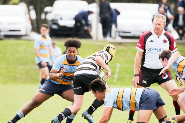 018-Rugby-U15-Colts-Tournament-v-New-Plymouth-Boys--047