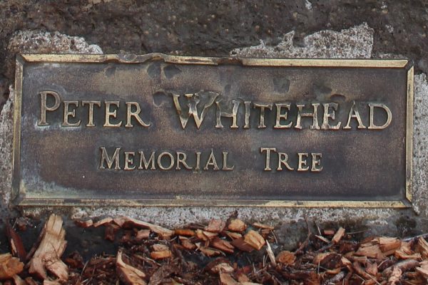 Pw plaque