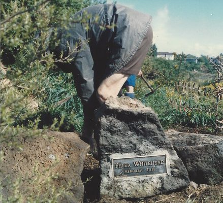 Peter Whitehead memorial Tree 1986