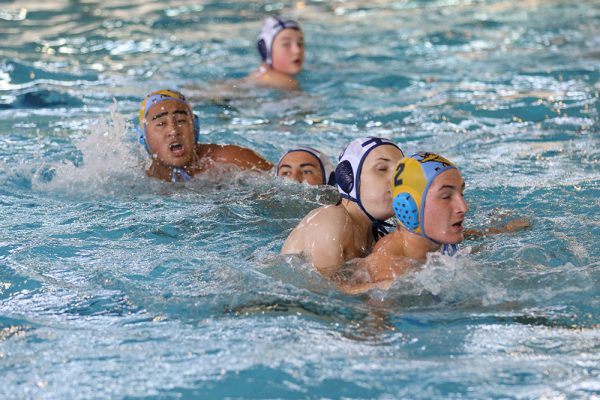 019-Water-Polo-Prem-Boys-v-St-Peters---021