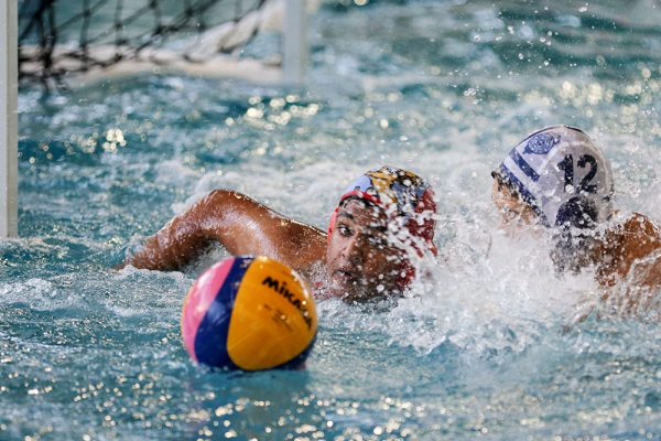 019-Water-Polo-Prem-Boys-v-St-Peters---040