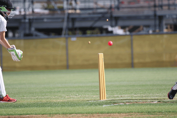 019-Cricket-Girls-v-Lynfield-College--023