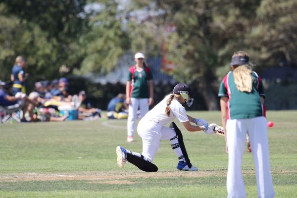 019-Cricket-Girls-v-Westlake---049