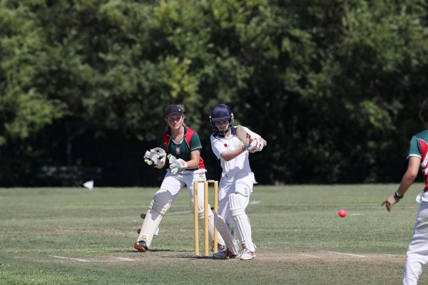 019-Cricket-Girls-v-Westlake---062