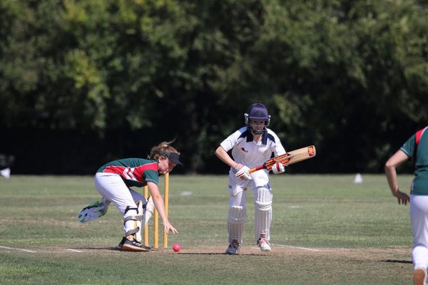 019-Cricket-Girls-v-Westlake---066