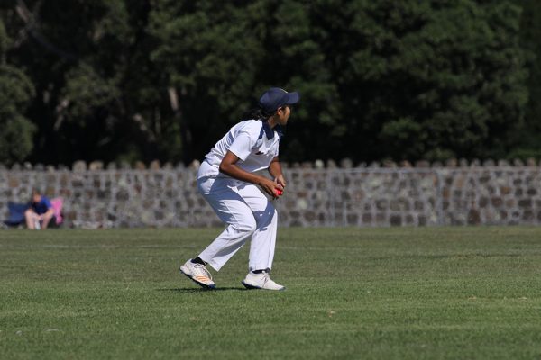 019-Cricket-Girls-v-Westlake---074