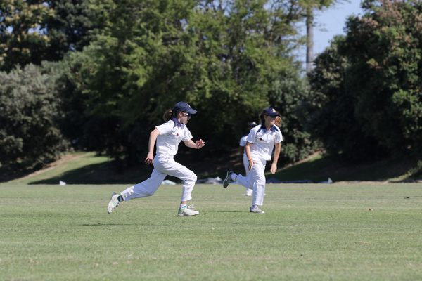 019-Cricket-Girls-v-Westlake---079