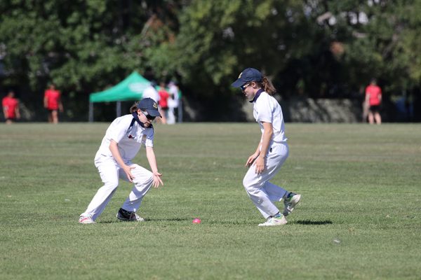 019-Cricket-Girls-v-Westlake---084