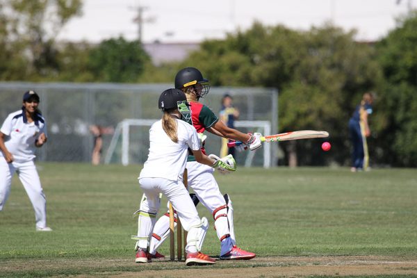 019-Cricket-Girls-v-Westlake---085