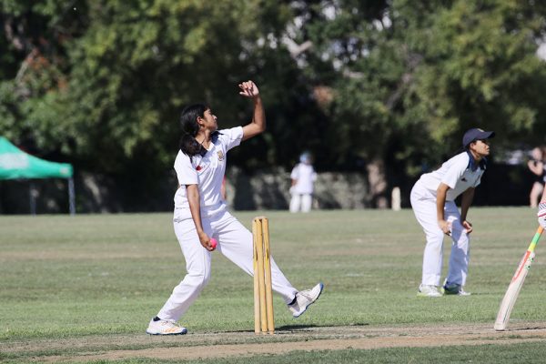 019-Cricket-Girls-v-Westlake---087