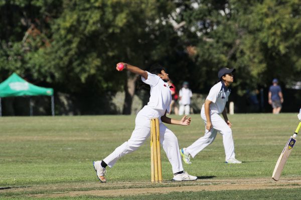 019-Cricket-Girls-v-Westlake---089