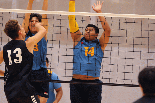 019-Volleyball-Snr-Boys-v-Avondale-000