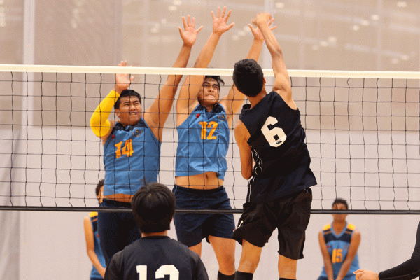 019-Volleyball-Snr-Boys-v-Avondale-001