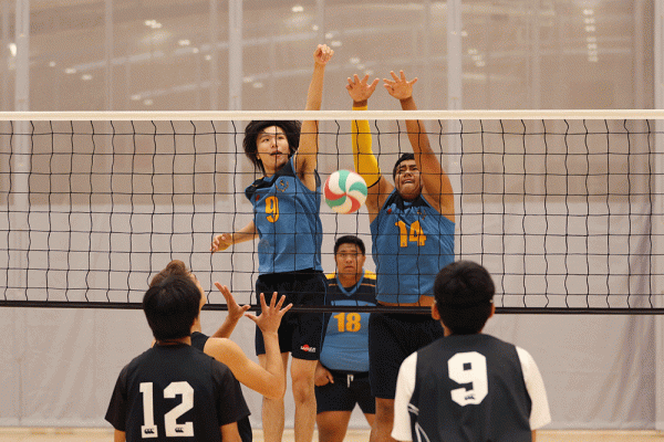 019-Volleyball-Snr-Boys-v-Avondale-003