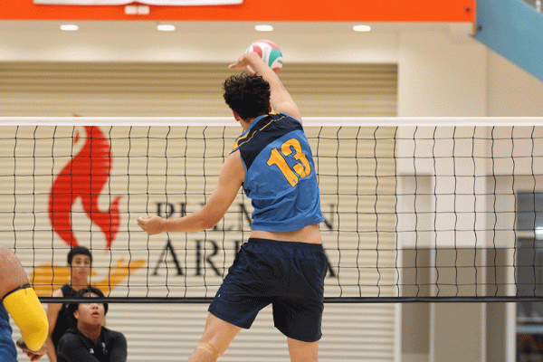 019-Volleyball-Snr-Boys-v-Avondale-017