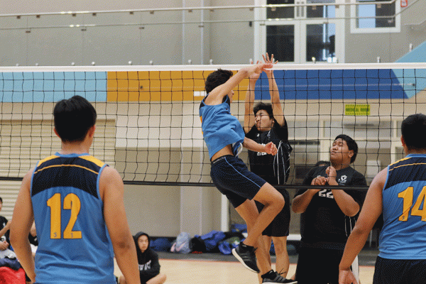 019-Volleyball-Snr-Boys-v-Avondale-018