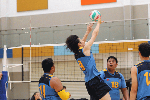 019-Volleyball-Snr-Boys-v-Avondale-022