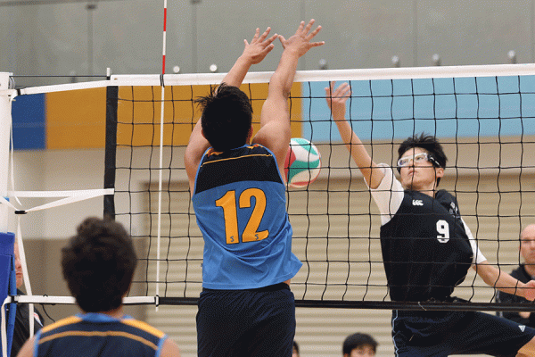 019-Volleyball-Snr-Boys-v-Avondale-024