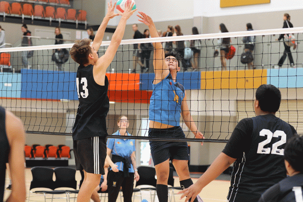 019-Volleyball-Snr-Boys-v-Avondale-031