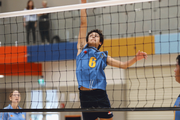 019-Volleyball-Snr-Boys-v-Avondale-033