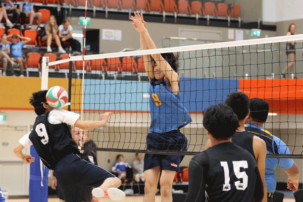 019-Volleyball-Snr-Boys-v-Avondale-035