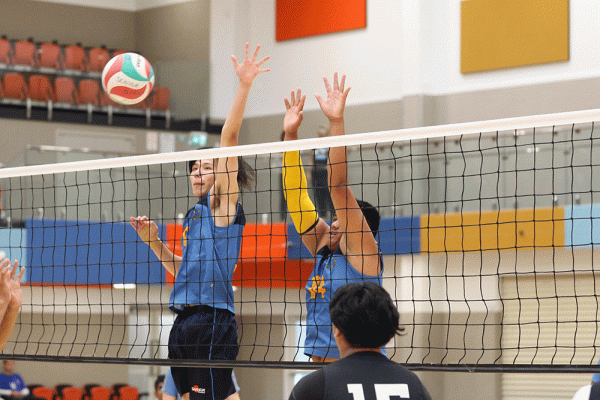 019-Volleyball-Snr-Boys-v-Avondale-036