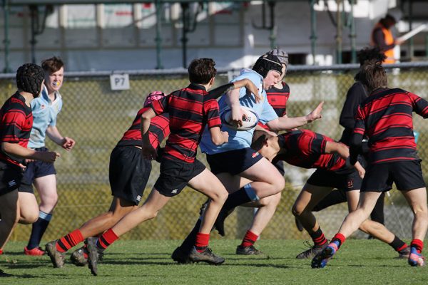 019-LRugby-U15-v-Brisbane--004