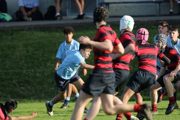 019-LRugby-U15-v-Brisbane--025