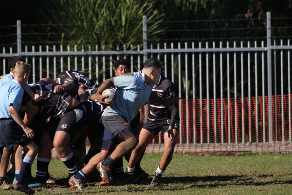 019-Rugby-U14-v-Wesley-College--005