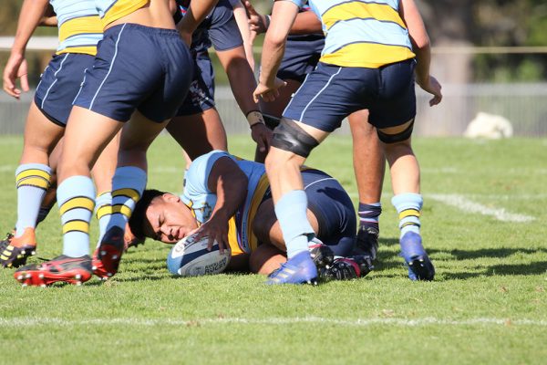 019-Rugby-1XV-v-Sacred-Heart-College--010