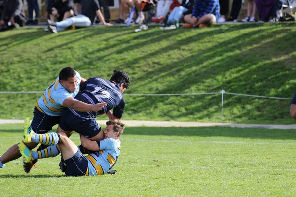 019-Rugby-1XV-v-Sacred-Heart-College--024