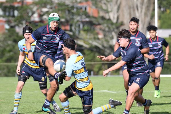 019-Rugby-1XV-v-Sacred-Heart-College--028