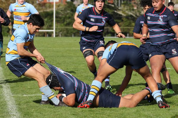 019-Rugby-1XV-v-Sacred-Heart-College--031