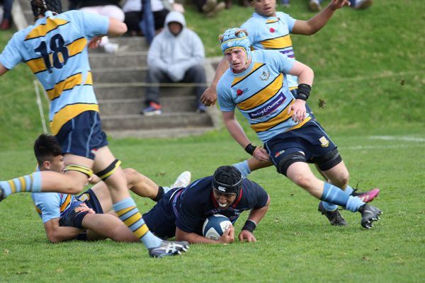 019-Rugby-1XV-v-Sacred-Heart-College--041