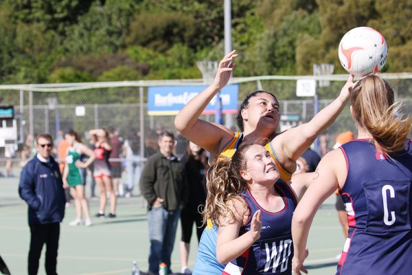 -019--NISS-Netball-v-MacLeans-College--084