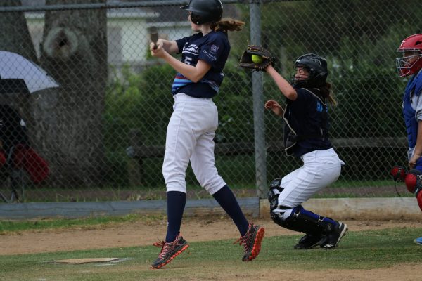 020 -Softball Jnr Girls v One Tree Hill - 006