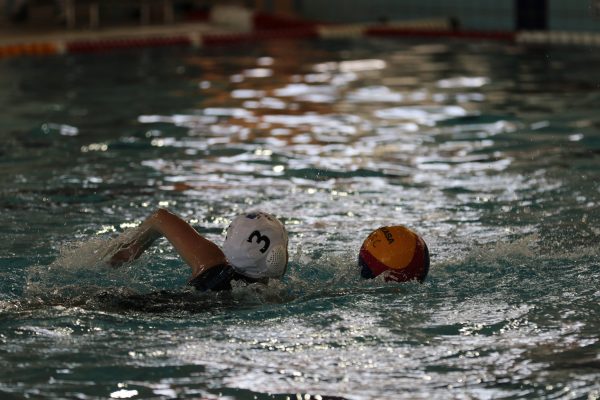 020 -Waterpolo Jnr Girls v WSprings - 014