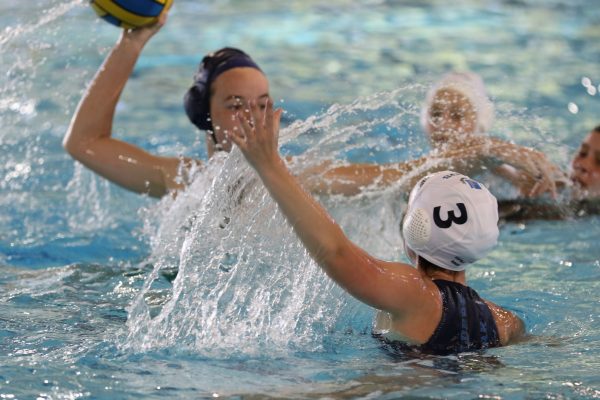 020 -Waterpolo Jnr Girls v WSprings - 026