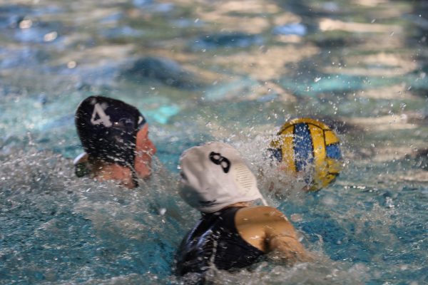 020 -Waterpolo Jnr Girls v WSprings - 030